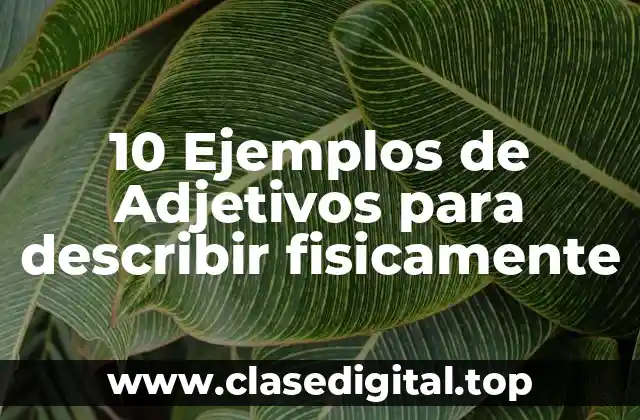 10 Ejemplos de Adjetivos para describir fisicamente