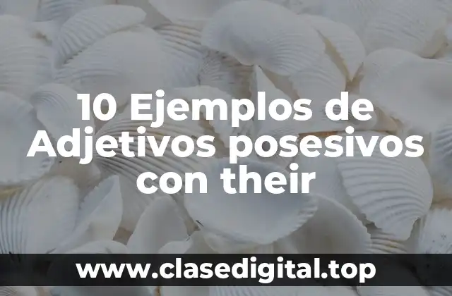 10 Ejemplos de Adjetivos posesivos con their