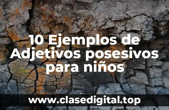 10 Ejemplos de Adjetivos posesivos para niños