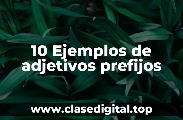 10 Ejemplos de adjetivos prefijos