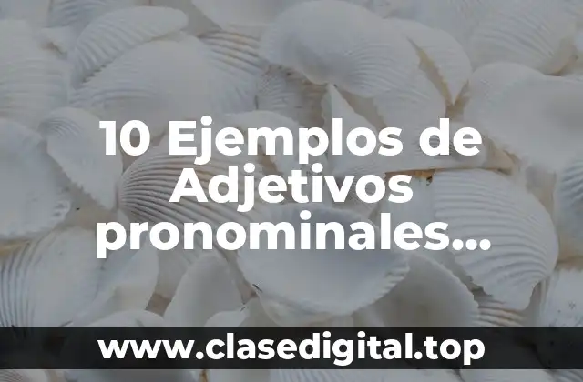 10 Ejemplos de Adjetivos pronominales posesivos