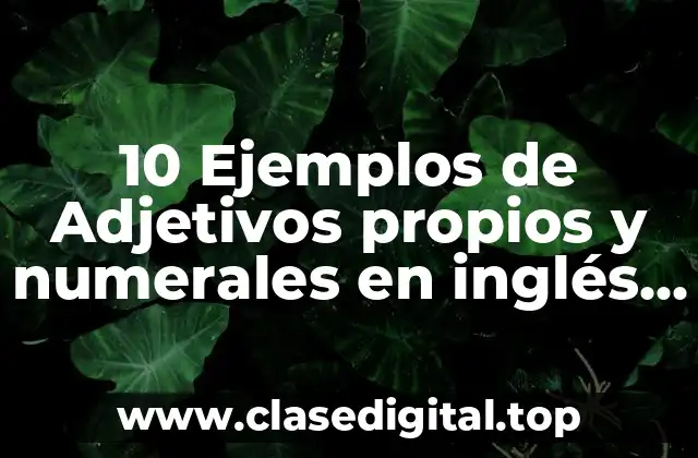 10 Ejemplos de Adjetivos propios y numerales en inglés y español