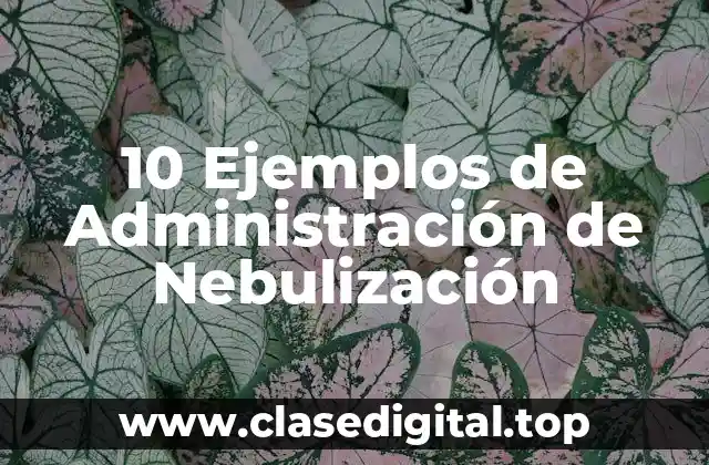 10 Ejemplos de Administración de Nebulización
