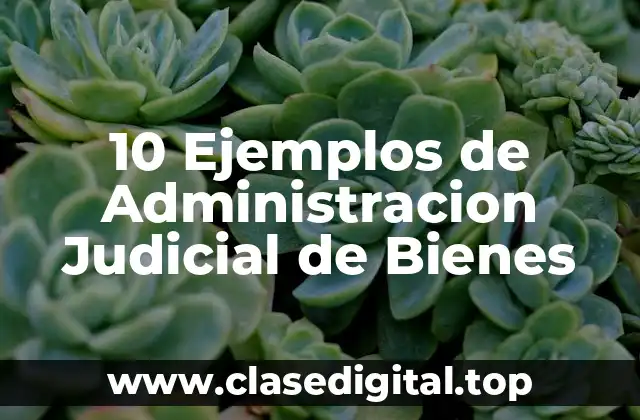 10 Ejemplos de Administracion Judicial de Bienes