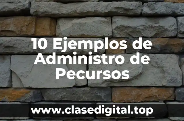 10 Ejemplos de Administro de Pecursos