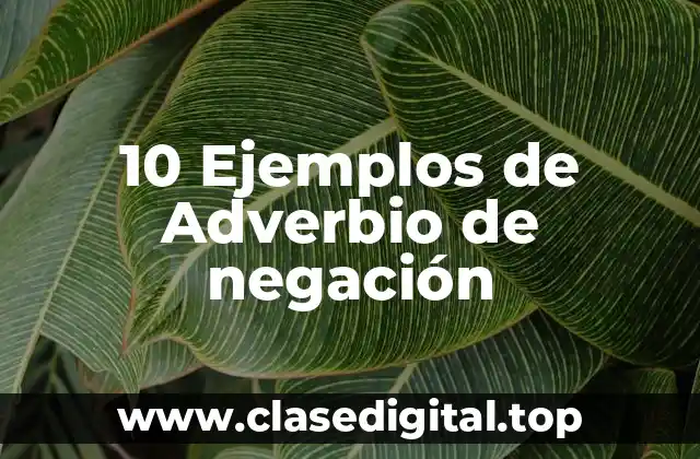 10 Ejemplos de Adverbio de negación