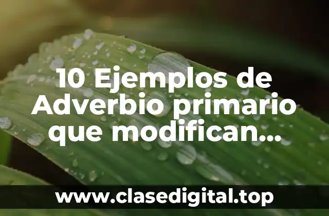 10 Ejemplos de Adverbio primario que modifican adjetivos