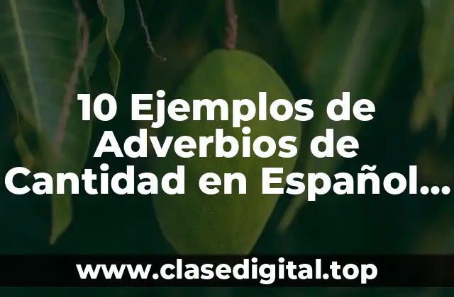 10 Ejemplos de Adverbios de Cantidad en Español y Inglés