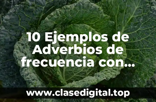 10 Ejemplos de Adverbios de frecuencia con preguntas y respuestas