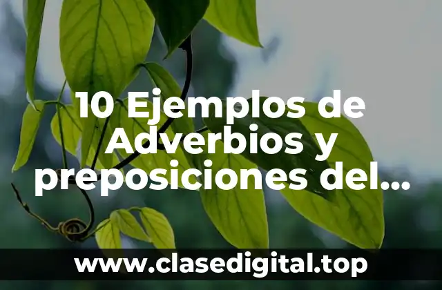 10 Ejemplos de Adverbios y preposiciones del presente perfecto