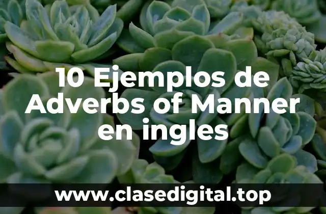 10 Ejemplos de Adverbs of Manner en ingles