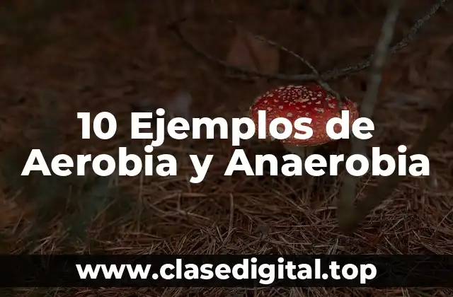 10 Ejemplos de Aerobia y Anaerobia