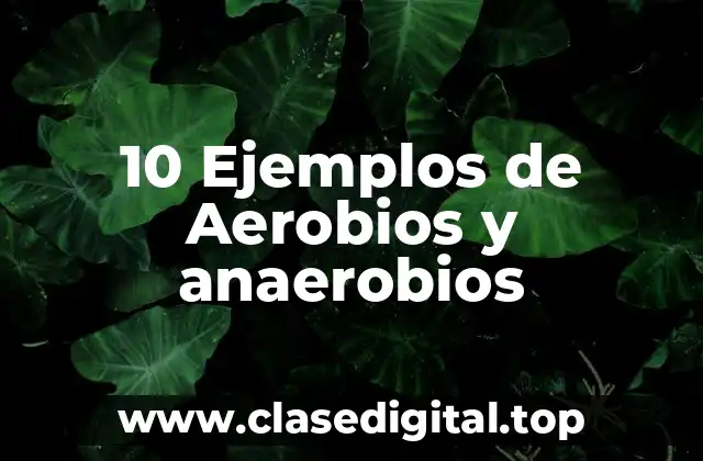 10 Ejemplos de Aerobios y anaerobios