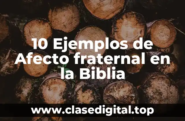 10 Ejemplos de Afecto fraternal en la Biblia