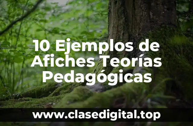 10 Ejemplos de Afiches Teorías Pedagógicas
