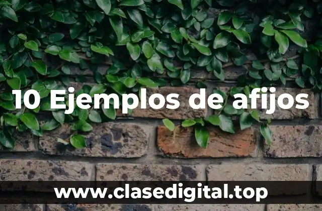 10 Ejemplos de afijos