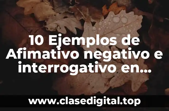 10 Ejemplos de Afimativo negativo e interrogativo en inglés have got