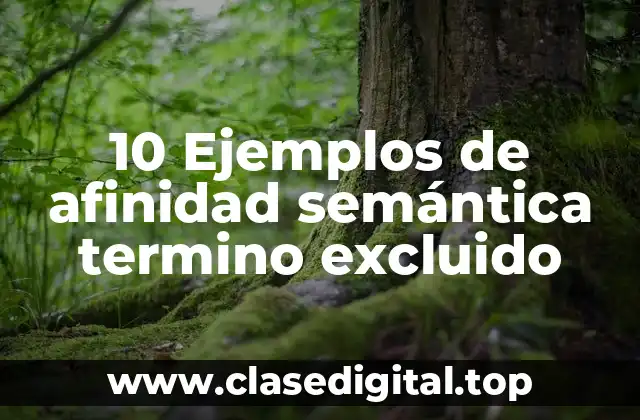 10 Ejemplos de afinidad semántica termino excluido