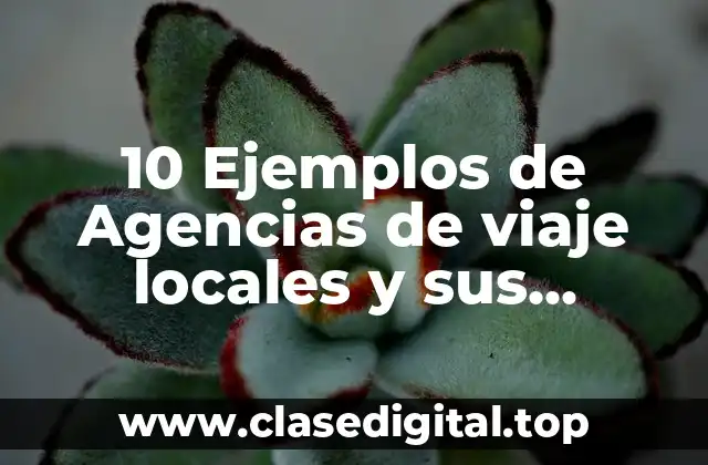 10 Ejemplos de Agencias de viaje locales y sus productos
