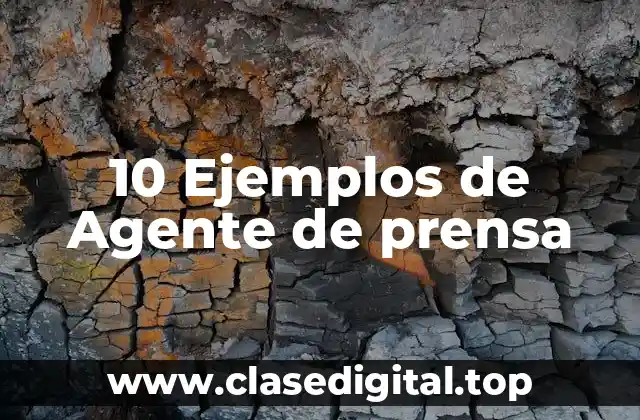 10 Ejemplos de Agente de prensa