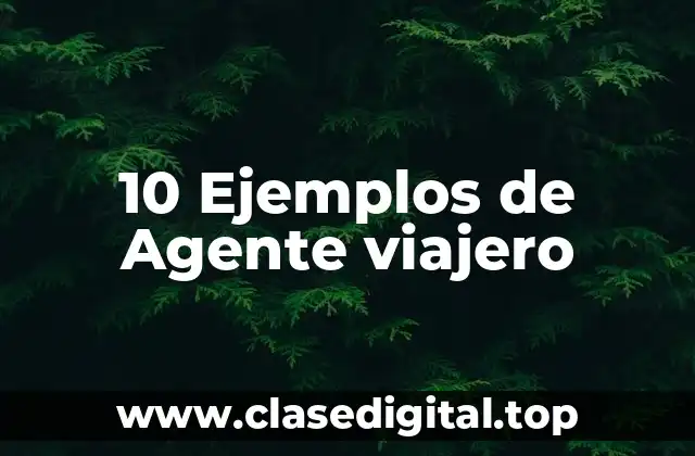 10 Ejemplos de Agente viajero