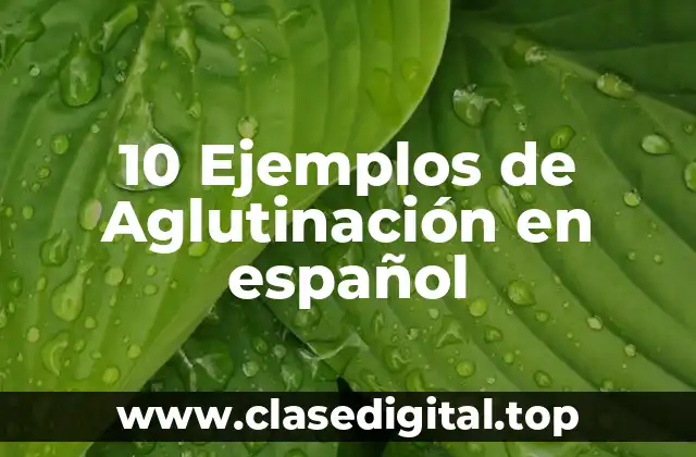 10 Ejemplos de Aglutinación en español