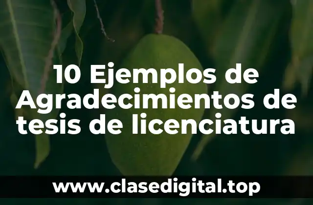 10 Ejemplos de Agradecimientos de tesis de licenciatura