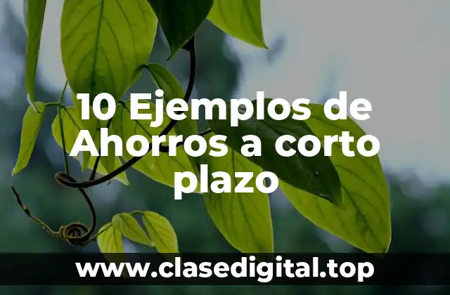 10 Ejemplos de Ahorros a corto plazo