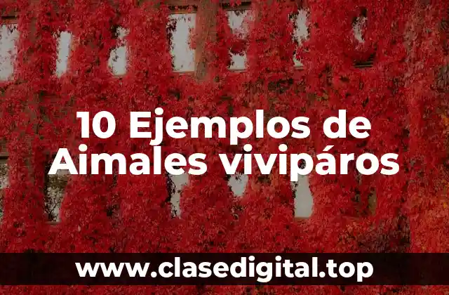 10 Ejemplos de Aimales vivipáros