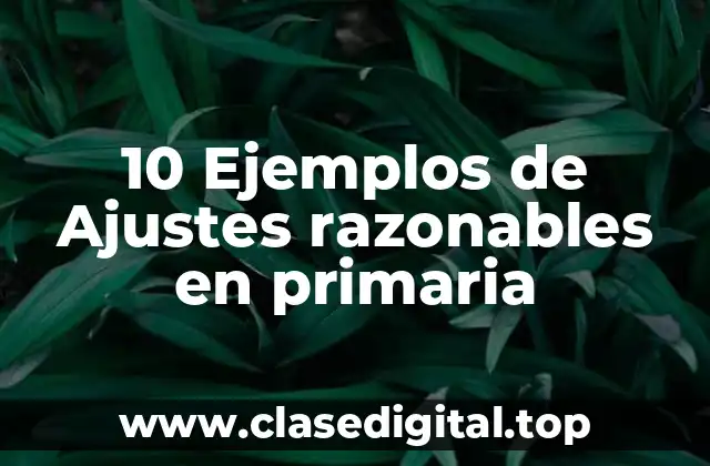 10 Ejemplos de Ajustes razonables en primaria