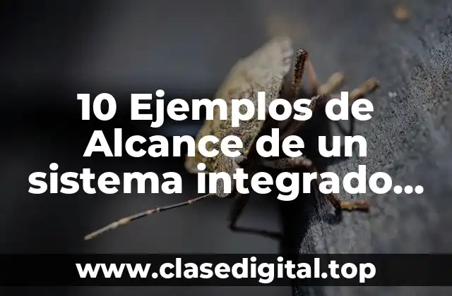 10 Ejemplos de Alcance de un sistema integrado de gestión