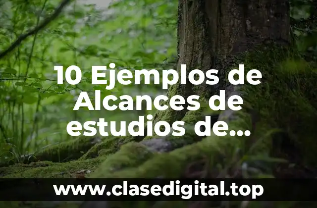 10 Ejemplos de Alcances de estudios de transporte
