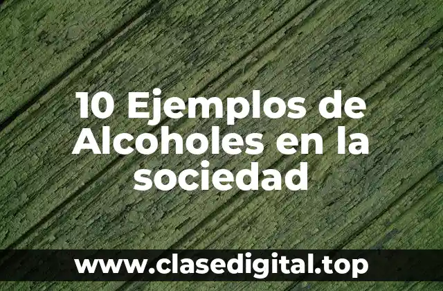 10 Ejemplos de Alcoholes en la sociedad