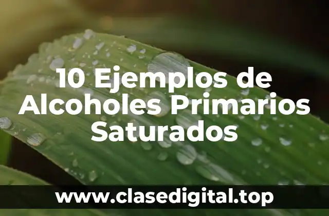 10 Ejemplos de Alcoholes Primarios Saturados