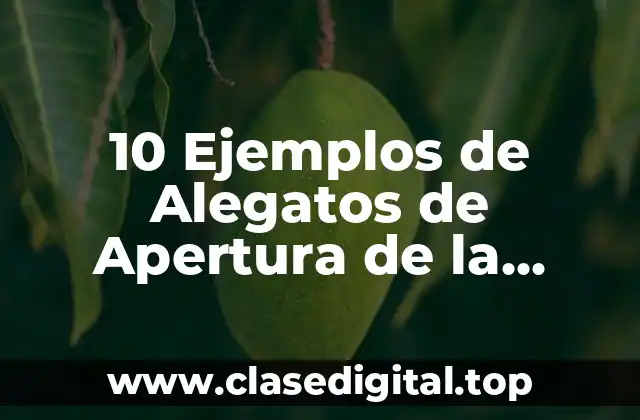 10 Ejemplos de Alegatos de Apertura de la Fiscalía