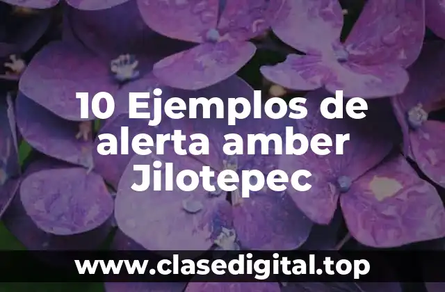 10 Ejemplos de alerta amber Jilotepec
