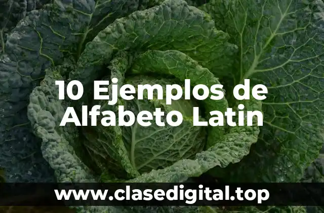 10 Ejemplos de Alfabeto Latin