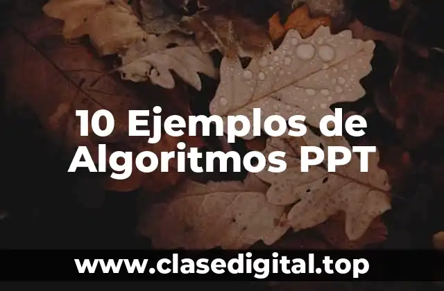 10 Ejemplos de Algoritmos PPT
