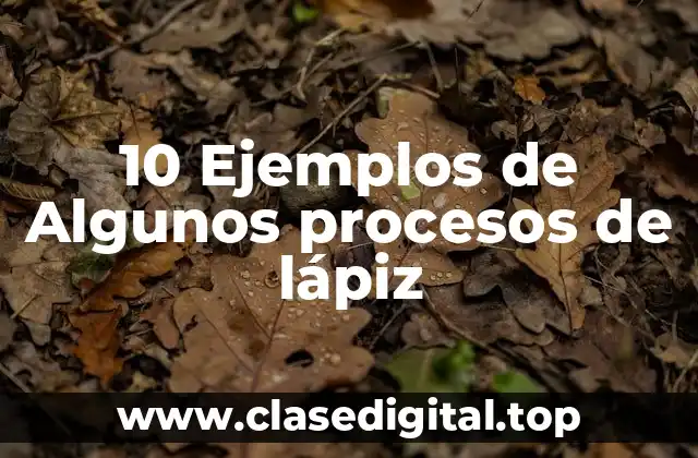 10 Ejemplos de Algunos procesos de lápiz