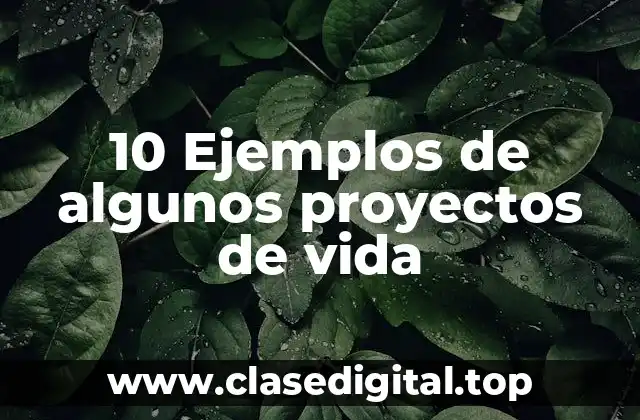 10 Ejemplos de algunos proyectos de vida