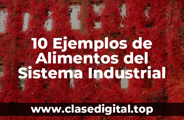 10 Ejemplos de Alimentos del Sistema Industrial