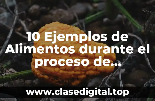 10 Ejemplos de Alimentos durante el proceso de pasteurización