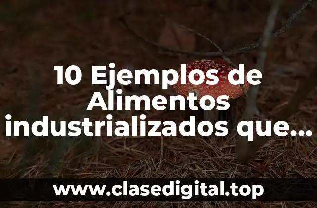 10 Ejemplos de Alimentos industrializados que contengan productos transgénicos