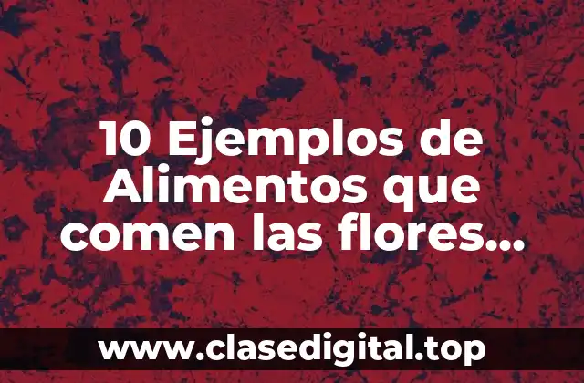 10 Ejemplos de Alimentos que comen las flores blancas