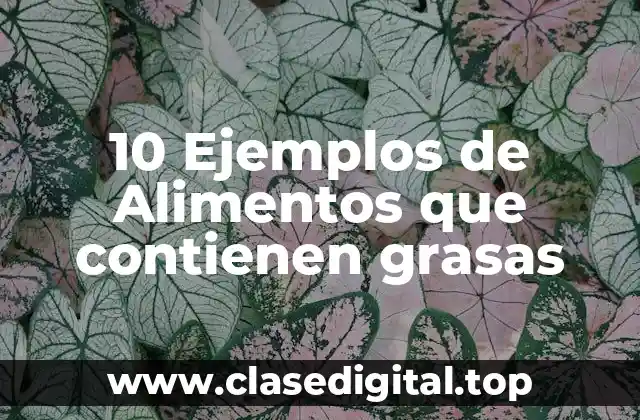 10 Ejemplos de Alimentos que contienen grasas