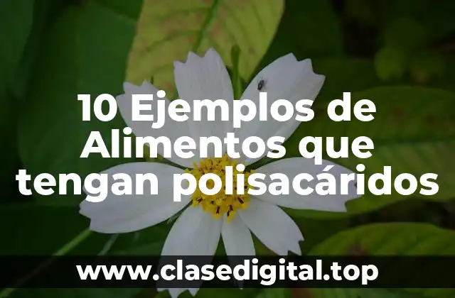 10 Ejemplos de Alimentos que tengan polisacáridos