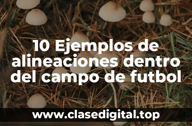 10 Ejemplos de alineaciones dentro del campo de futbol