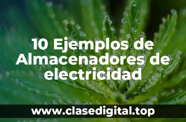 10 Ejemplos de Almacenadores de electricidad