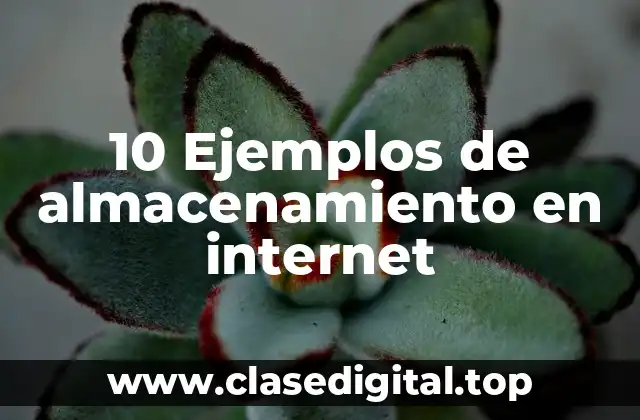 10 Ejemplos de almacenamiento en internet