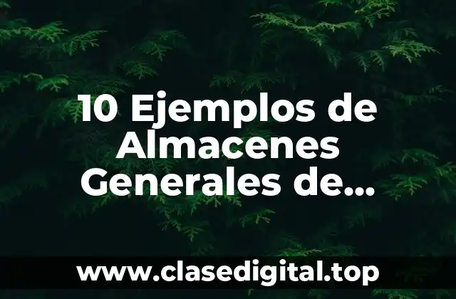 10 Ejemplos de Almacenes Generales de Depósito de Mercancías en México